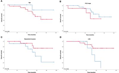 Identifying clinical features and molecular characteristics of the endometrial clear cell carcinoma